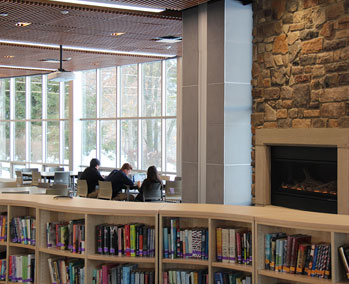 Photo of students studying in a library. Link to What to Give