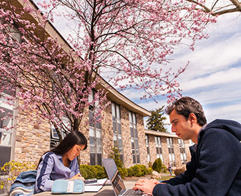 Photo of students studying outside. Link to Gifts of Appreciated Securities